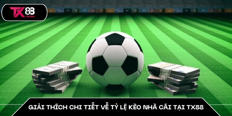 Giải thích chi tiết về tỷ lệ kèo nhà cái tại TX88