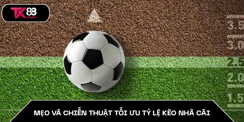 Mẹo và chiến thuật tối ưu tỷ lệ kèo nhà cái