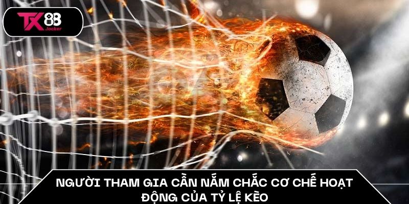 Người tham gia cần nắm chắc cơ chế hoạt động của tỷ lệ kèo